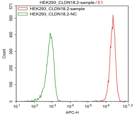HEK293/CLDN18.2 Stable Cell Line