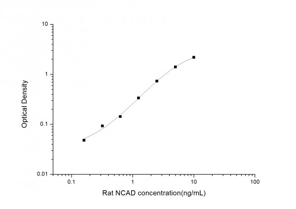 Rat NCAD (Neural Cadherin) ELISA Kit
