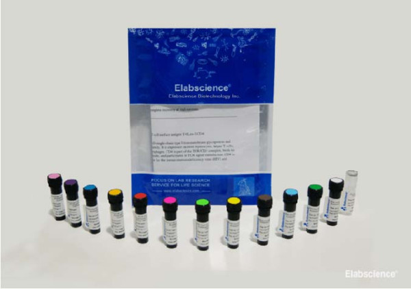 Elab Fluor(R) 700 Anti-Human CD86 Antibody[BU63]