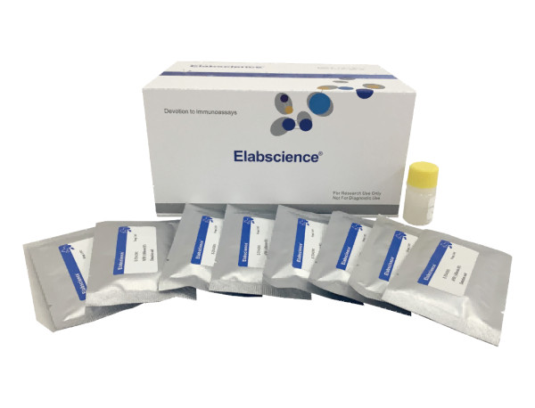 MG(Malachite Green) Lateral Flow Assay Kit