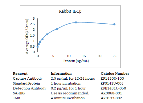 Anti-IL-1 (rabbit) beta, Biotin conjugated