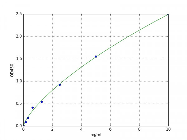 Human RRM1 / Ribonucleoside-diphosphate reductase large subunit ELISA Kit