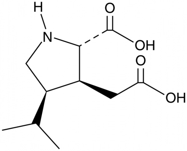 Dihydrokainic Acid