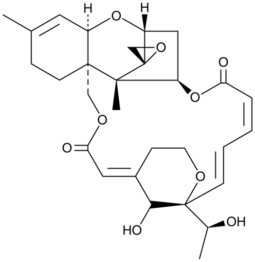 Satratoxin H