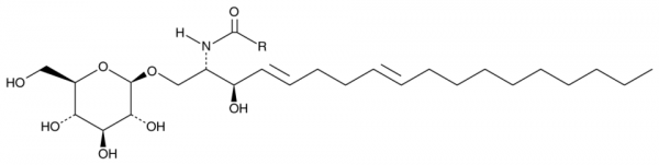 Glucosylceramide (plant)