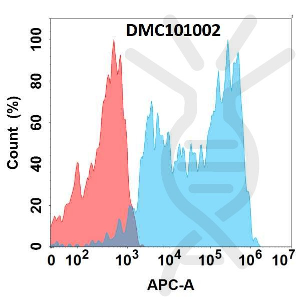 Anti-APP antibody(3D7), IgG1 Chimeric mAb