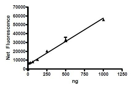 FAP, active human recombinant protein