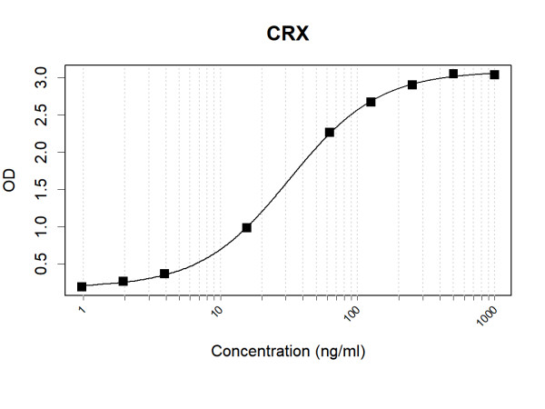 Anti-Human CRX Antibody Pair