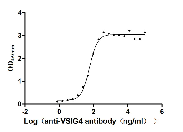 Anti-VSIG4 Recombinant Monoclonal, clone 12D12
