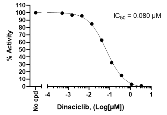 Chemi-Verse(TM) CDK18/Cyclin Y Kinase Assay Kit
