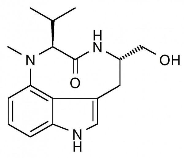 (-)-Indolactam V