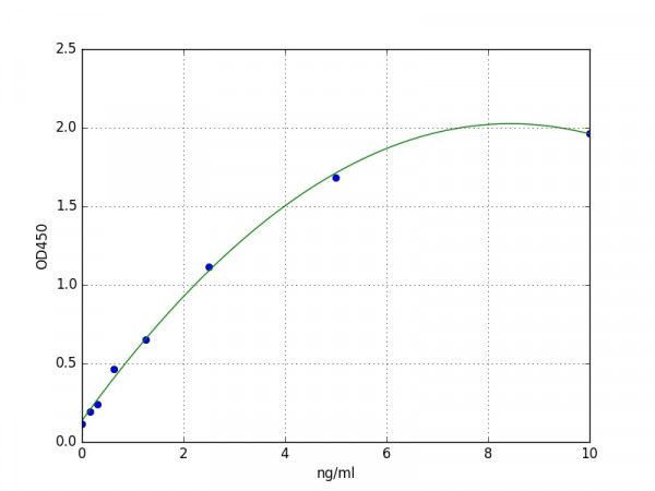 Mouse TIMP3 ELISA Kit