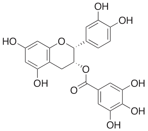 (-)Epicatechin gallate