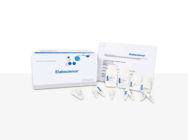 Fluo-4 Calcium Fluorometric Assay Kit
