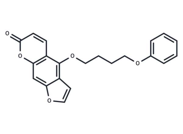 PAP-1