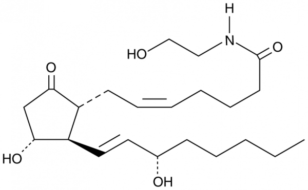 Prostaglandin E2 Ethanolamide