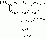5-FITC (FITC Isomer I, fluorescein-5-isothiocyanate) *UltraPure Grade*