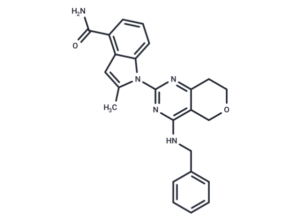 CB-5083