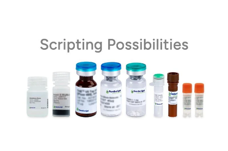 Nectin-3/CD113 hFc Chimera, Human