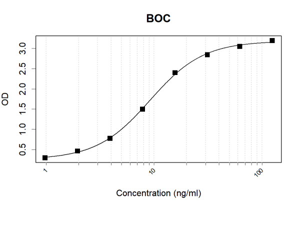 Anti-Human BOC Antibody Pair