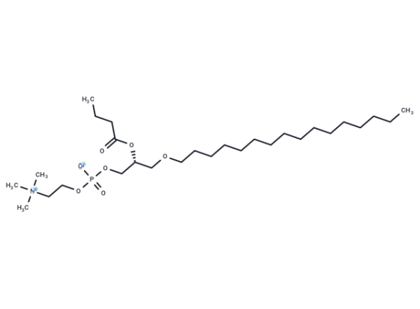 Butanoyl PAF