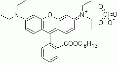 Rhodamine B, hexyl ester, perchlorate