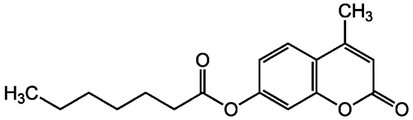 4-Methylumbelliferyl heptanoate