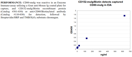 CD80 -muIg Fusion Protein, (human), preservative free