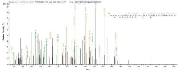 Peptidoglycan recognition protein 1 (Pglyrp1), mouse, recombinant