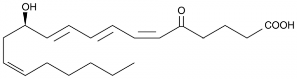 5-oxo Leukotriene B4