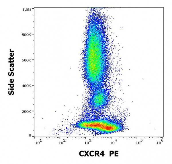 Anti-CXCR4 (PE), clone 12G5