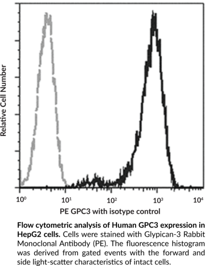 Anti-Glypican-3 Rabbit Monoclonal Antibody (PE) (Clone 024)
