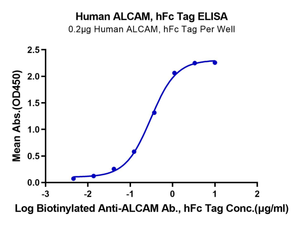 Human ALCAM/CD166 Protein