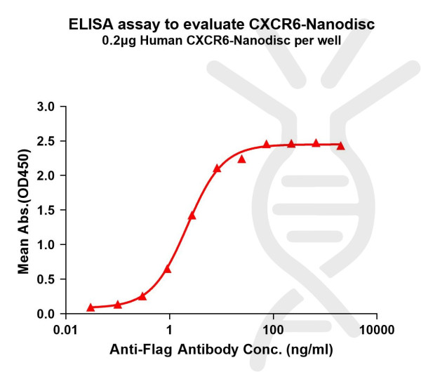 CXCR6 (human) full length protein-synthetic nanodisc