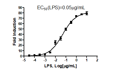 NF-kappaB Luciferase Reporter Lentivirus