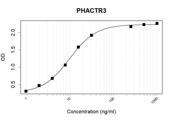 Anti-Human PHACTR3 Antibody Pair