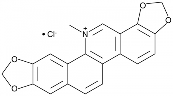 Sanguinarine (chloride)