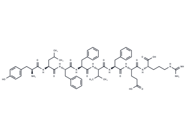 HER2-targeted peptide H6F