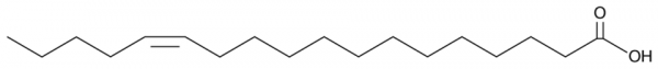 cis-13-Octadecenoic Acid