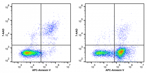 Annexin V-APC/7-AAD Apoptosis Kit