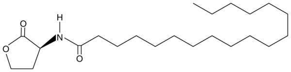 N-octadecanoyl-L-Homoserine lactone