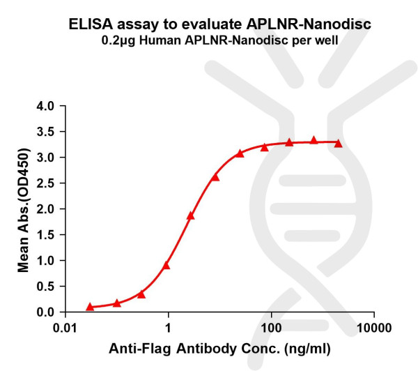APLNR (human) full length protein-synthetic nanodisc