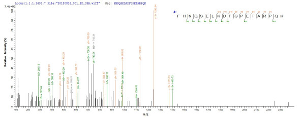 Sclerostin (Sost), rat, recombinant