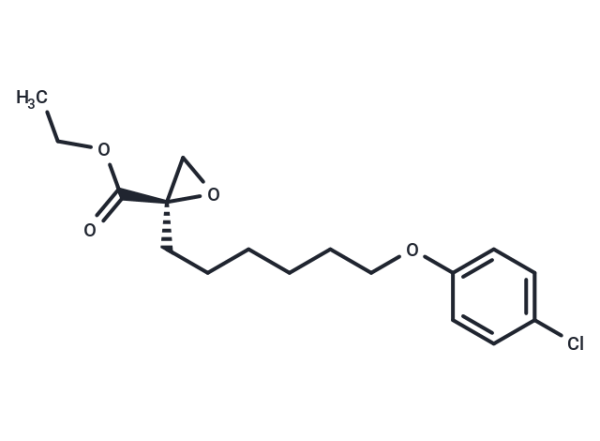 Etomoxir