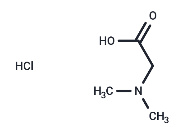 N,N-Dimethylglycine hydrochloride
