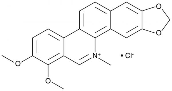 Chelerythrine (chloride)