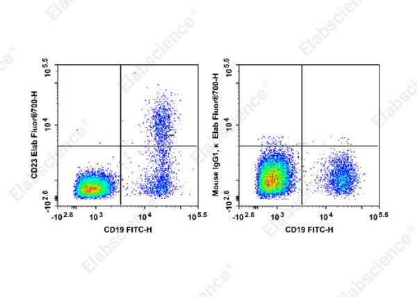 Elab Fluor(R)700 Anti-Human CD23 Antibody[EBVCS2]