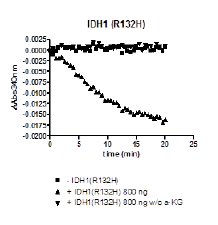 IDH1 (R132H), human recombinant protein, C-terminal FLAG-tag