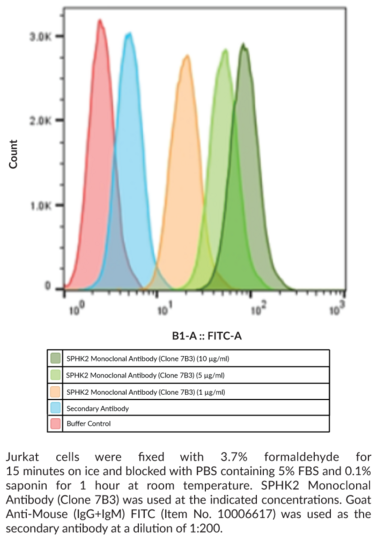 Anti-Sphingosine Kinase 2 , clone 7B3