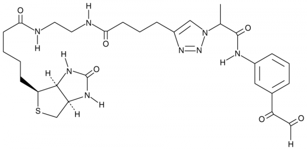 Citrulline-specific Probe-biotin